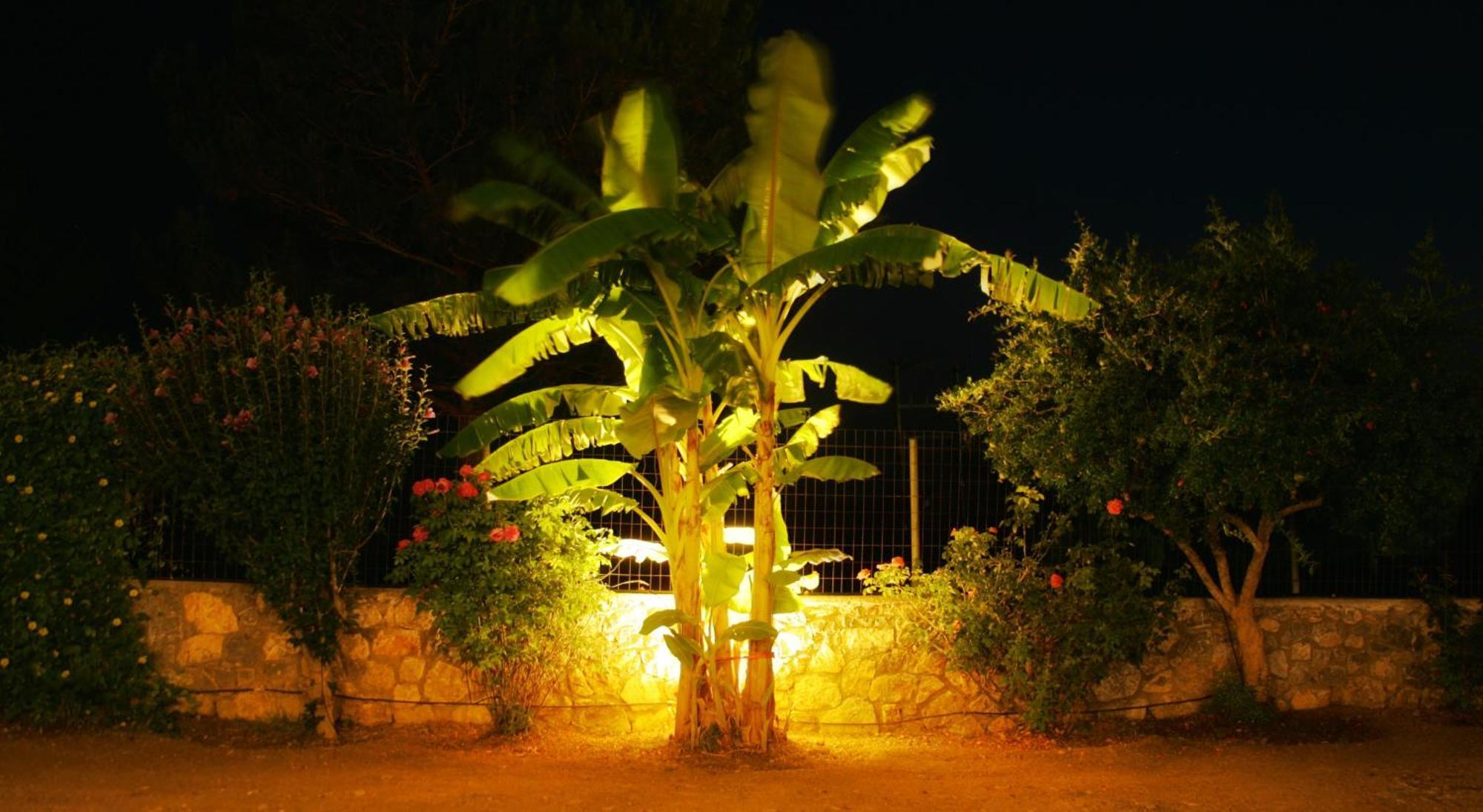 Villa Dora'S House à Istrios Extérieur photo