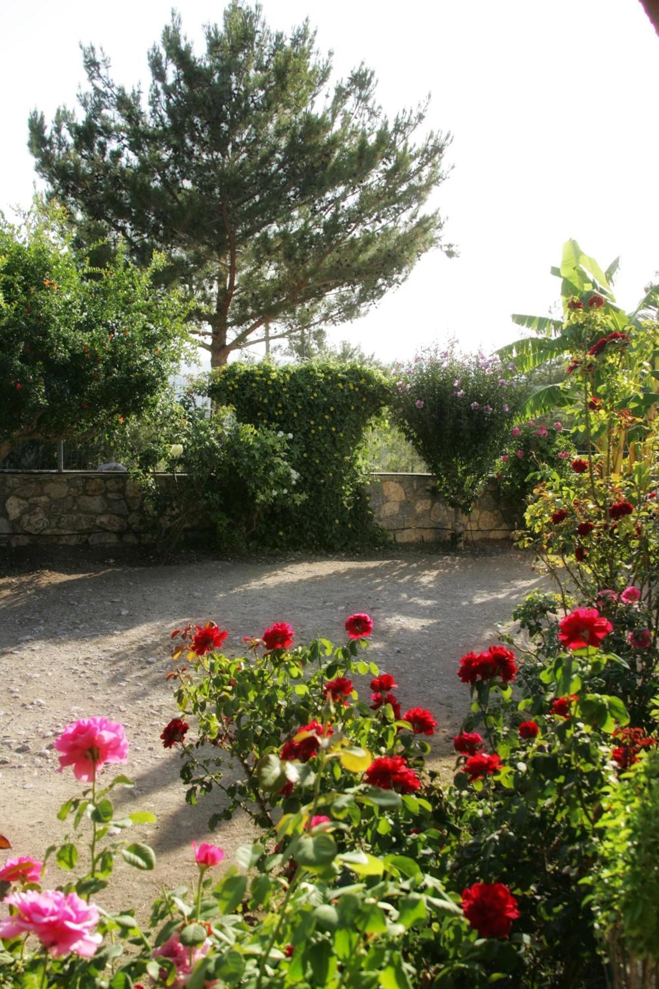 Villa Dora'S House à Istrios Extérieur photo