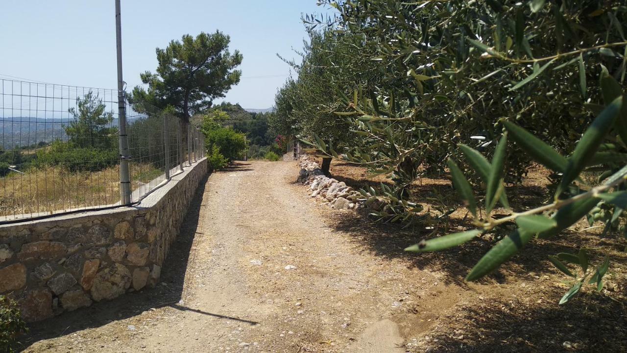 Villa Dora'S House à Istrios Extérieur photo